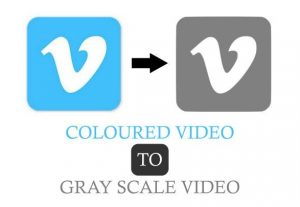 675I will convert your coloured video to gray scale video